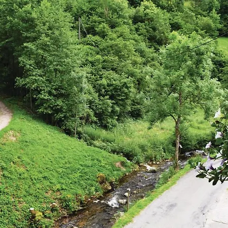 Cozy In B Peterstal-griesbach 巴特彼得斯塔尔-格里斯巴赫